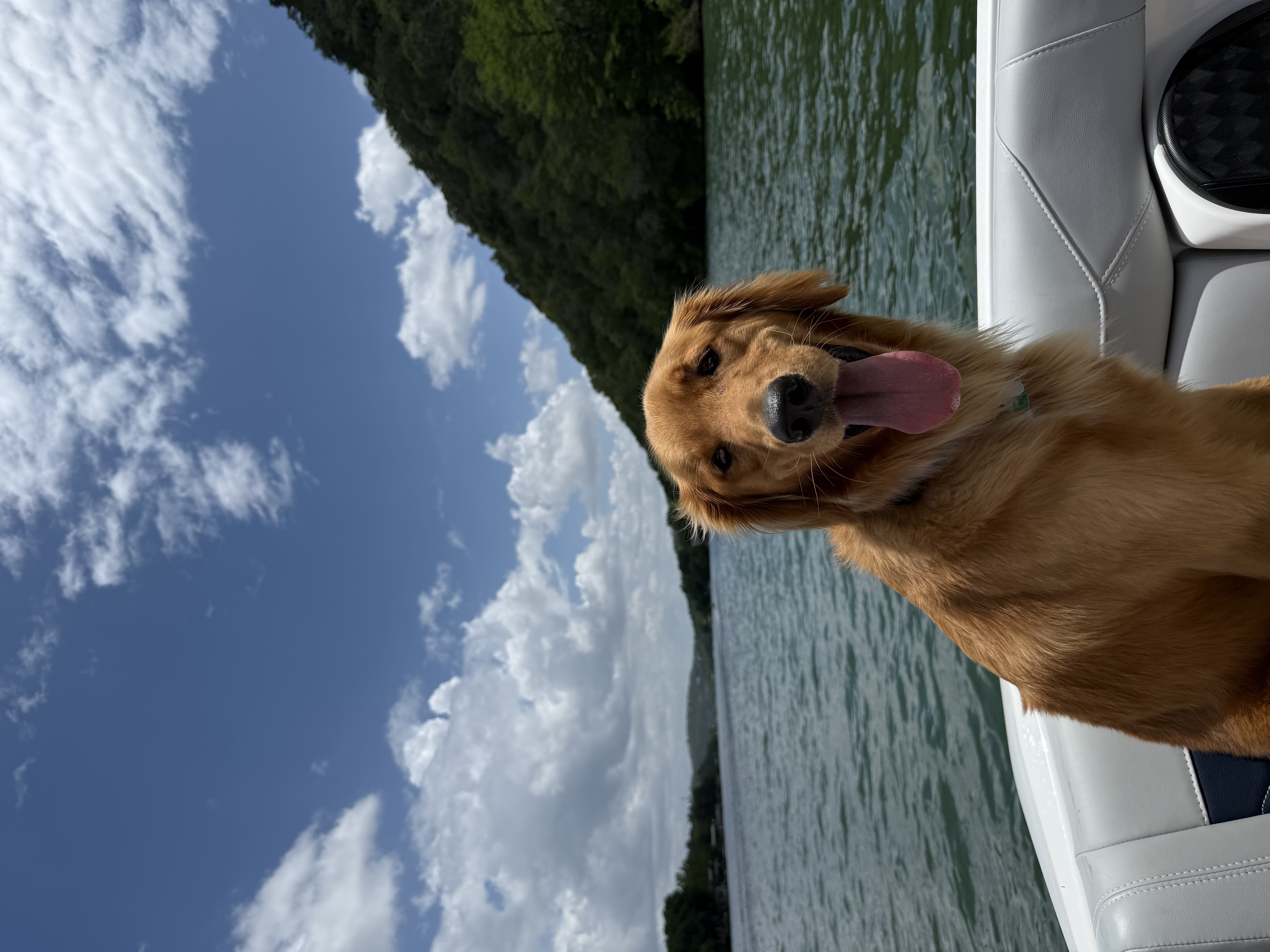 Captain Louie - camp mascot